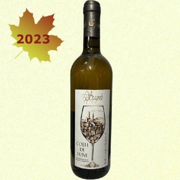 Vermentino Colli di Luni...