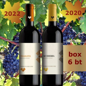 Box 6 bt. Bolgheri Rosso...