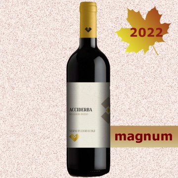 ACCIDERBA 2022 MAGNUM...