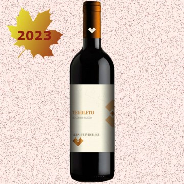 TEGOLETO 2023 Bolgheri...
