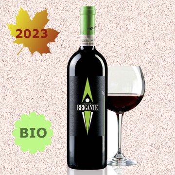 POGGIO BRIGANTE 2023...