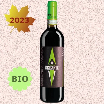 POGGIO BRIGANTE 2023...