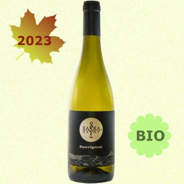 SAUVIGNON 2023 IGT Venezia...
