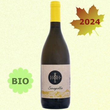 RIBOLLA GIALLA 2024 DOC...