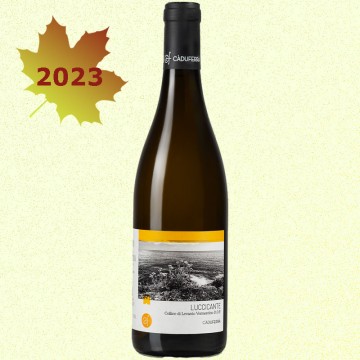 LUCCICANTE 2023 Colline di...