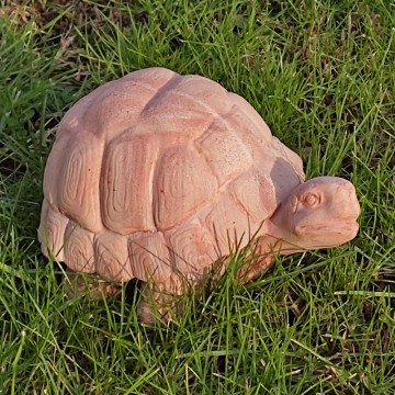 Tartaruga terracotta "grande"