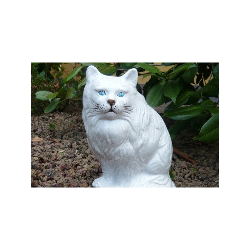 Gattino bianco