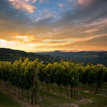 Amarone DOCG 2015 Campo dei Gigli
