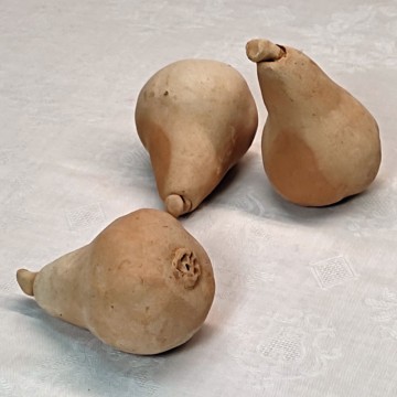 Terracotta Pear