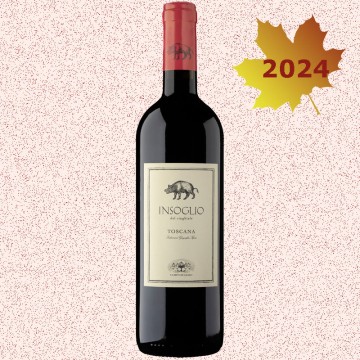 INSOGLIO DEL CINGHIALE 2024...