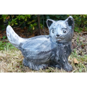 Gattino coda dritta grigio