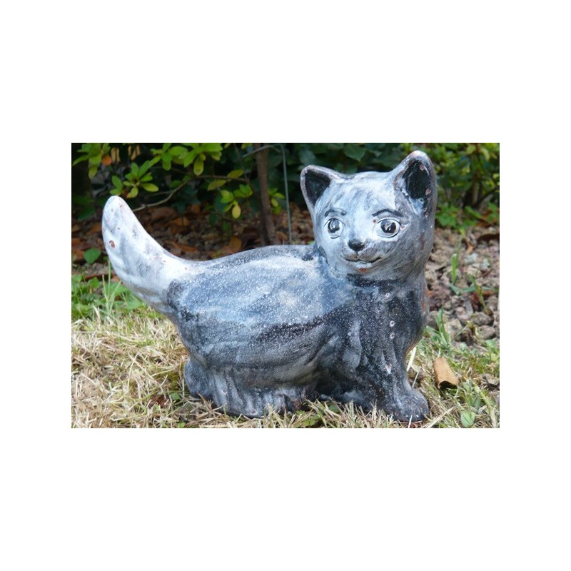 Gattino coda dritta grigio
