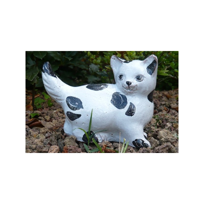 Gattino coda dritta bianco e nero