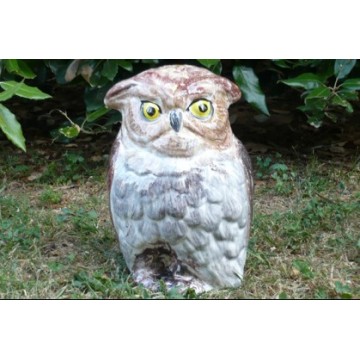 Owl brown plumage