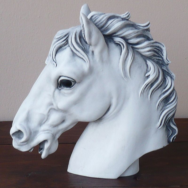 Head of Bay horse