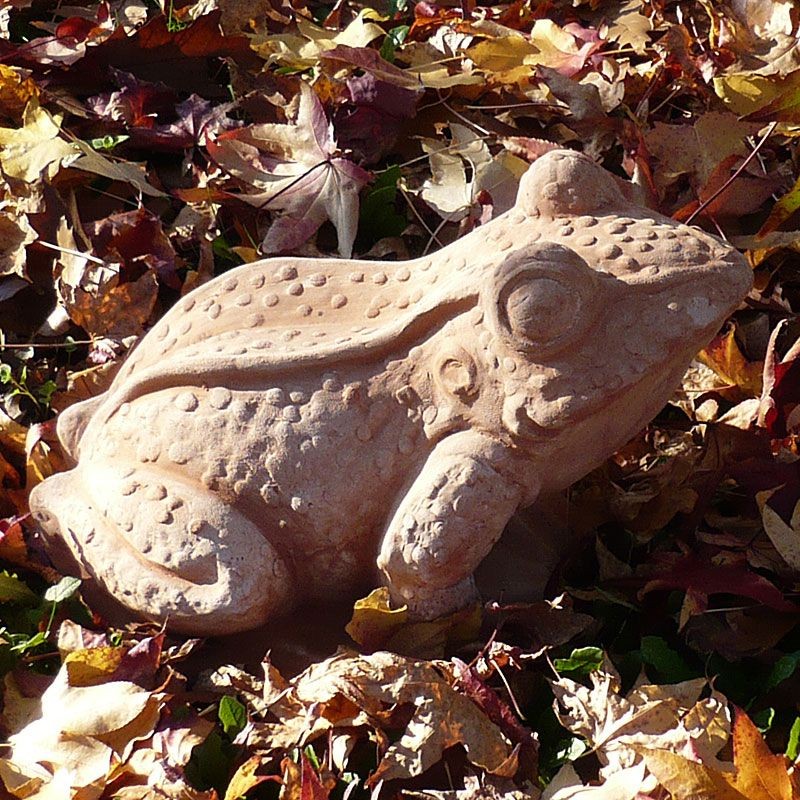 Terracotta Giant Toad