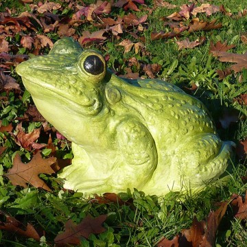 Green Giant Toad