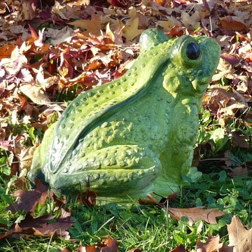 Green Giant Toad