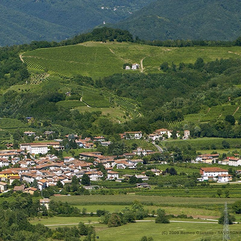 PICOLIT 2017 DOCG Colli Orientali del Friuli BIO