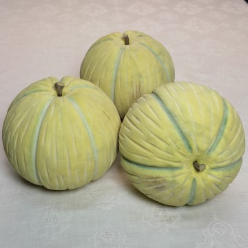 Melone antico