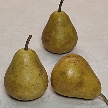 "Small" Rusty Pear