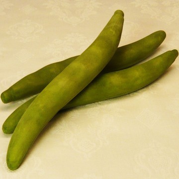 Pods of Broad Beans