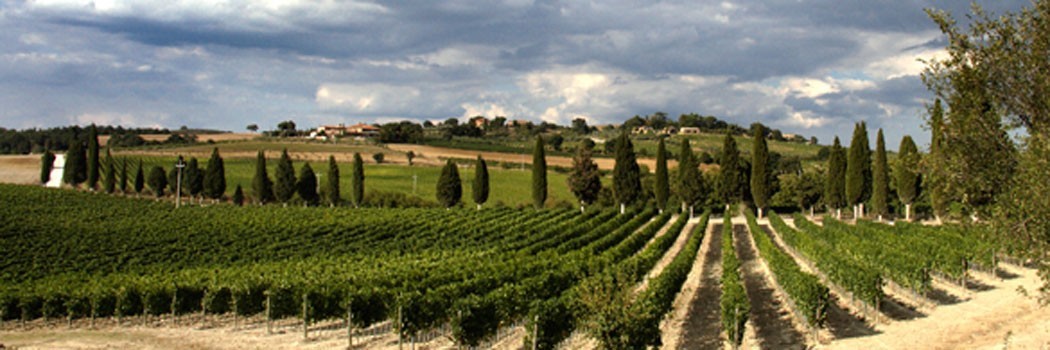 Capitoni Marco - Pienza (Siena)