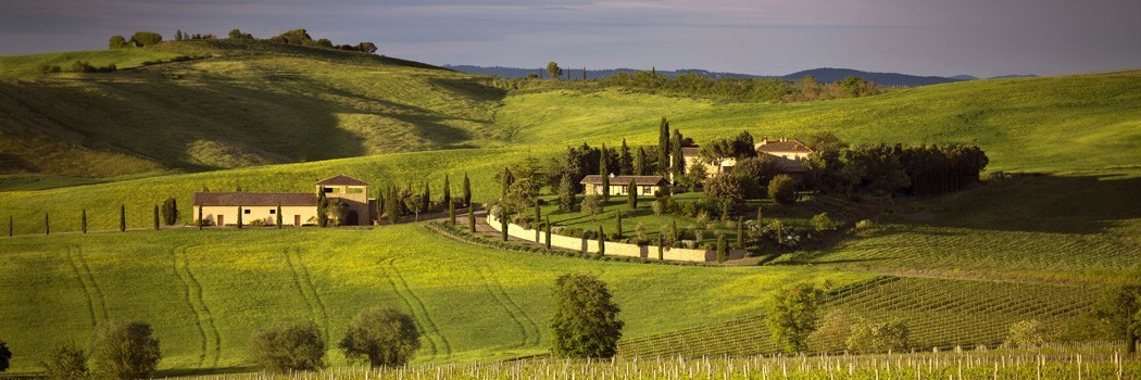 Siro Pacenti - Montalcino (Siena)