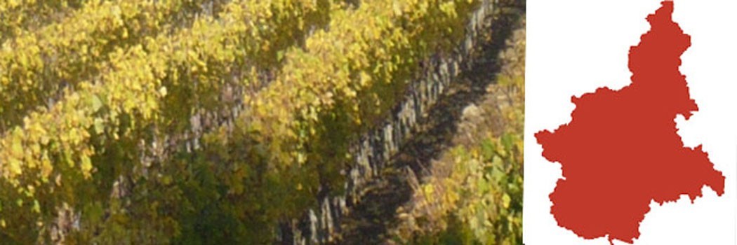 Piemonte: il Nebbiolo, che dà vita al Barolo e al Barbaresco, tra i più famosi vini rossi Italiani