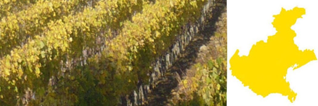 Veneto: Amarone della Valpolicella, Soave, Recioto e Prosecco sicuramente i migliori vini della regione