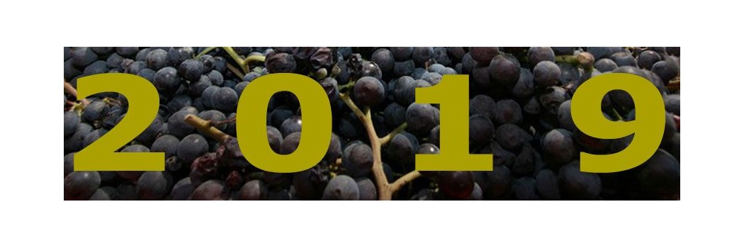 2019 vintage: excellent quality, for some the best ever, for the great reds of Italy