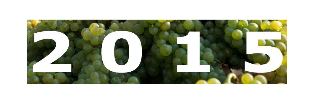 2015 vintage: best in 20 years for white wines, red wines and rosés