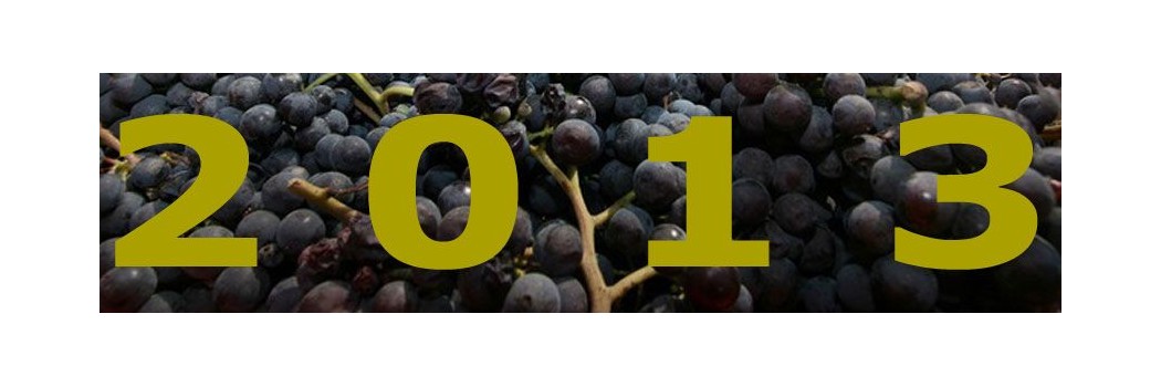 2013 vintage in Tuscany: an interesting season for both whites and reds