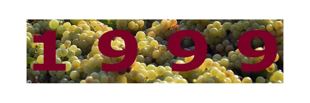 annata 1999: vini più freschi e bevibili rispetto ai profili gustativi maturi nel frutto e caldi  