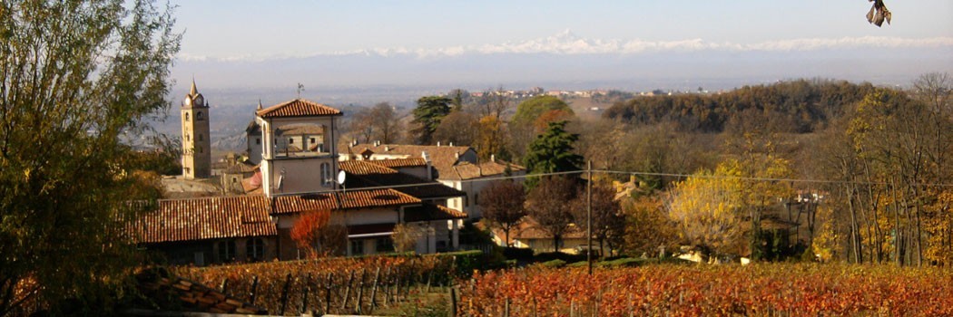 Conterno Fantino - Monforte d'Alba (Cuneo)