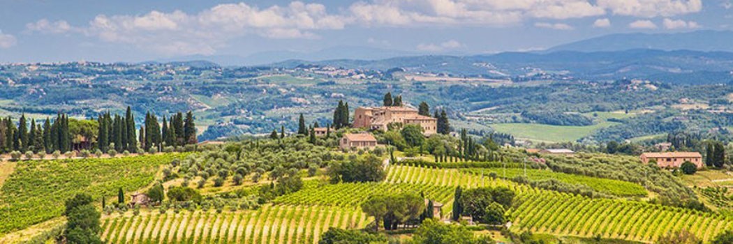 Capezzana - Carmignano (Prato)