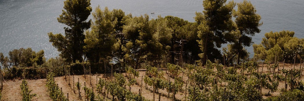 Ca' du Ferrà - Bonassola (La Spezia)
