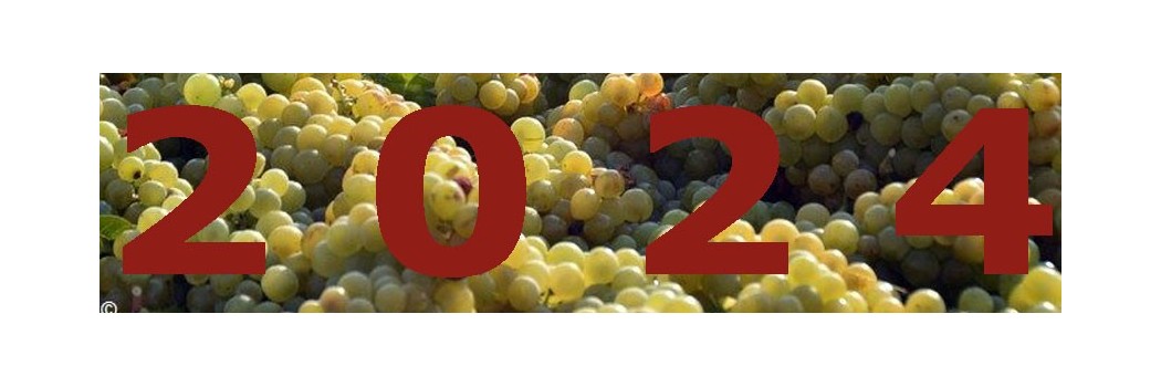 2024