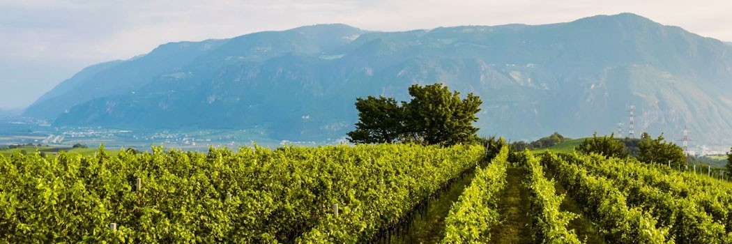 Girlan - Cornaiano (BZ)