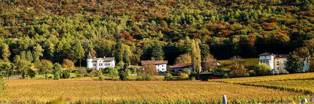Gottardi - Mazzon (Bolzano)
