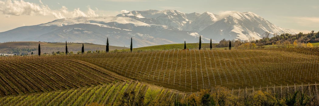 Ciavolich - Loreto Aprutino (Pescara)