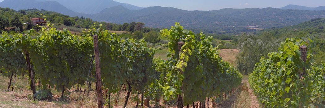 Colli di Lapio - Lapio (Avellino)