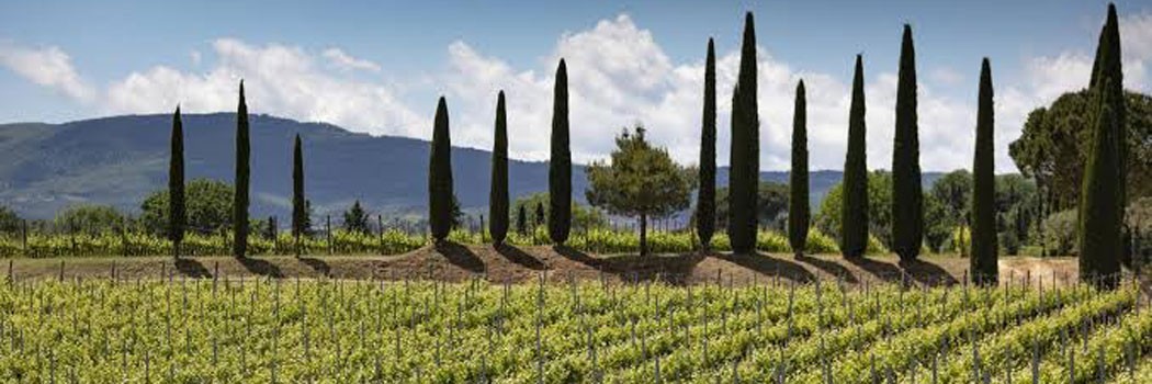 Bindella - Montepulciano (Siena)