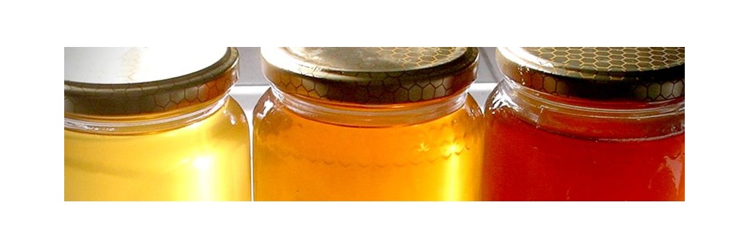 Organic Honey, beach honey, acacia honey, chestnut honey, linden honey, eucalyptus honey