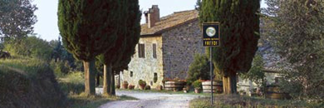 Fattoi Ofelio e Figli - Montalcino (Siena)