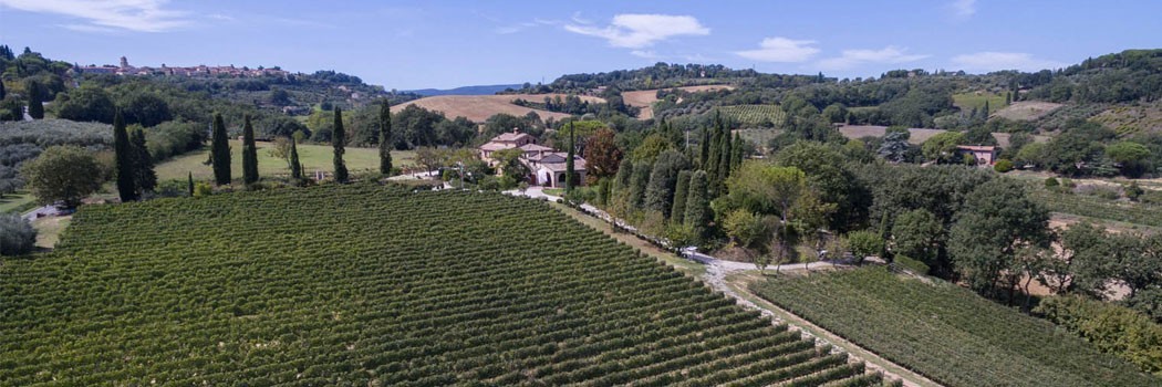 Colle Santa Mustiola - Chiusi (Siena)